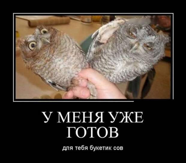 Демотиваторы. Подборка chert-poberi-chert-poberi-14250805052020-13 картинка chert-poberi-14250805052020-13