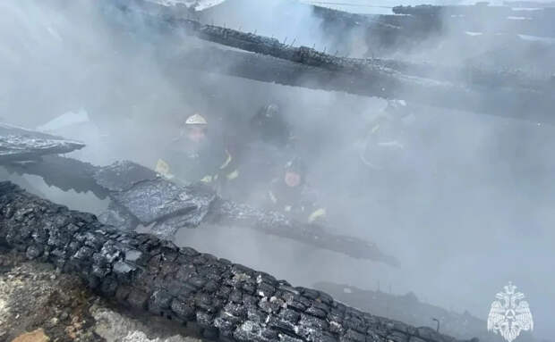 При пожаре в Тульской области погиб пенсионер