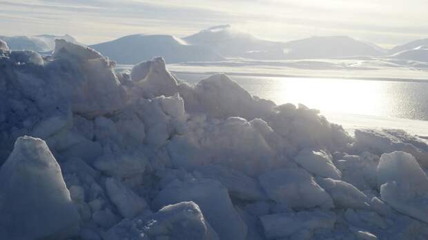 Академик Чумаков: в вечной мерзлоте были открыты очень интересные вирусы