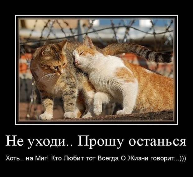 Демотиваторы ко дню влюбленных (50 фото)