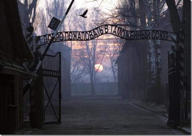 02f04668c662b346f7eaa19351b_prev 02f04668c662b346f7eaa19351b_prev