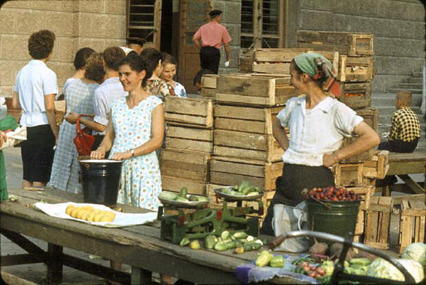 Кавказ 1964 года глазами француза