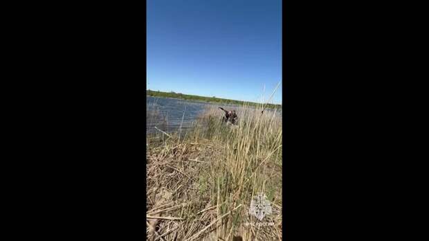 Video: Видео от Донецкая группа новостей|Донецк.ДНР