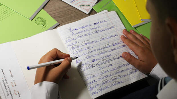 Рособрнадзор опроверг данные о полной отмене домашних заданий