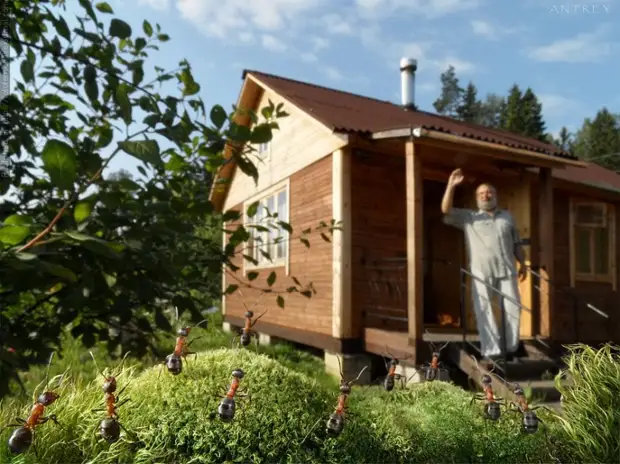 :     12 - BigPicture.ru