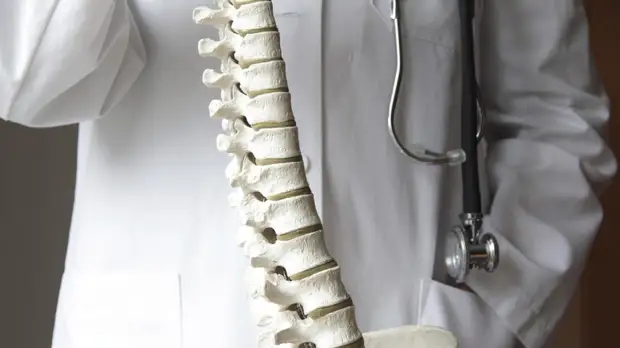 Мануальный терапевт рассказал, как сохранить здоровье позвоночника