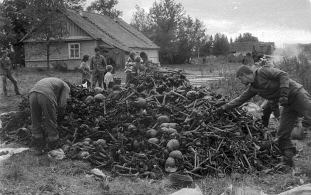 Долина смерти - Мясной бор в Новгородской области