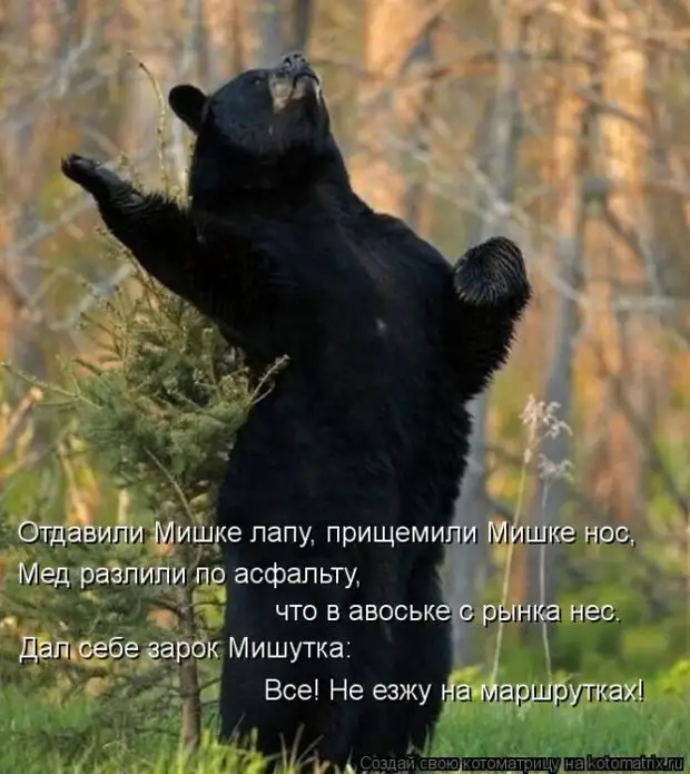 Мысли вслух :) 23 пушистые мыслишки