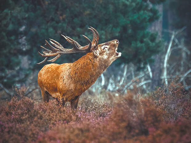 Просто подумайте