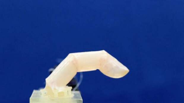 robot living skin