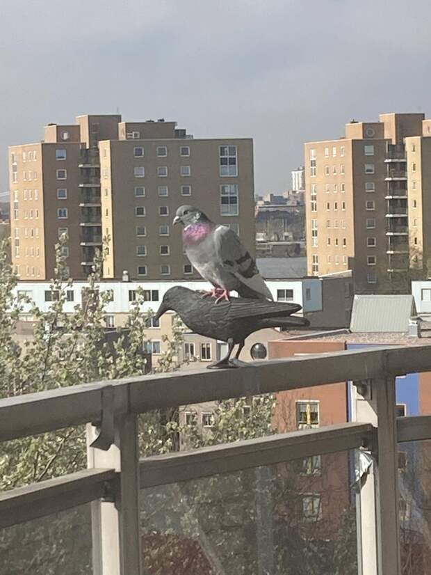 Подборка прикольных картинок