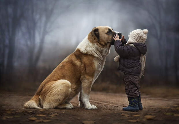 Финалисты AdMe Photo Awards 2014
