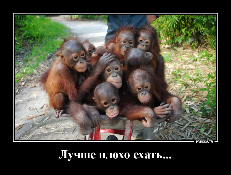 Демотиваторы