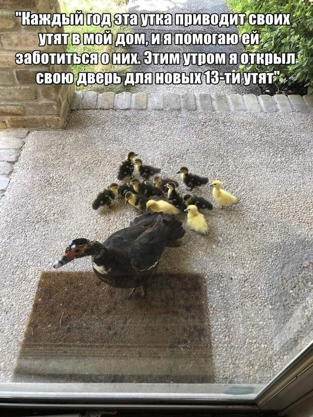 Подборка картинок. Вечерний выпуск (30 фото)