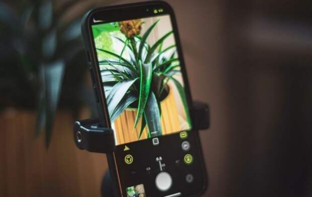 Как ИИ обрабатывает фото со смартфонов. Современные смартфоны фотографируют так хорошо во многом благодаря ИИ. Как ИИ обрабатывает фото со смартфонов. Современные смартфоны фотографируют так хорошо во многом благодаря ИИ. Фото.