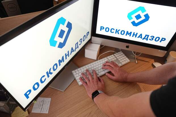 РКН: аниме-сайт «Шикимори» распространял материалы с детской порнографией