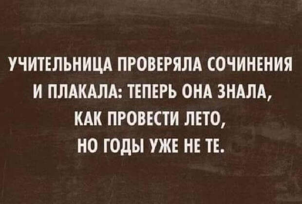 Несколько веселых историй