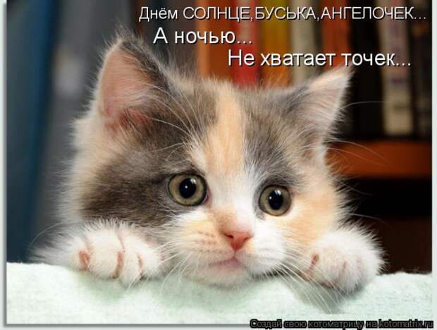 Мысли вслух :) 23 пушистые мыслишки