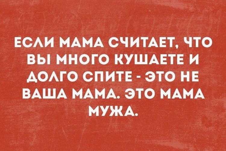 Подборка уморительных анекдотов