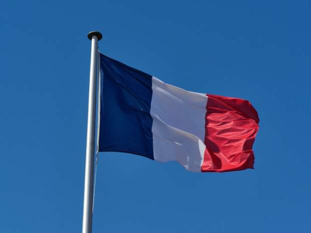 Во Франции начались досрочные парламентские выборы