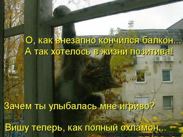 Мысли вслух :) 23 пушистые мыслишки