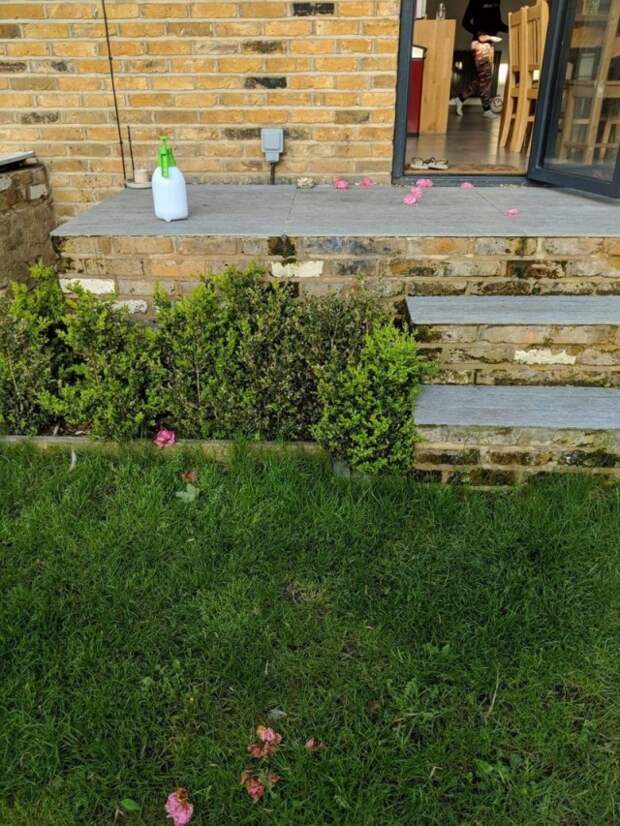 Тайный поклонник ежедневно приносил женщине цветы, но был пойман с поличным