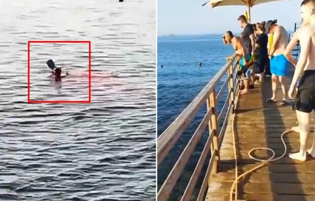 Туристка из башкирии умерла в египте. В Египте акула напала на туристов 2022. В Египте акула напала на туристку. Нападение акулы в Египте 2022. Нападение акулы в Хургаде.