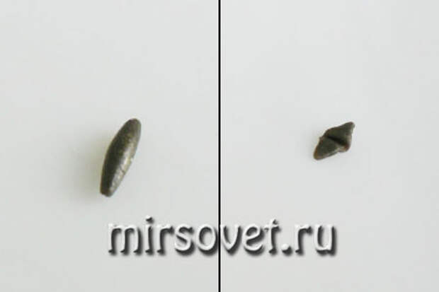 детали для лепки кожи змеи