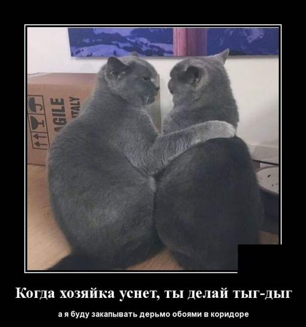 demotivatory-kartinki-smeshnye-kartinki-fotoprikoly