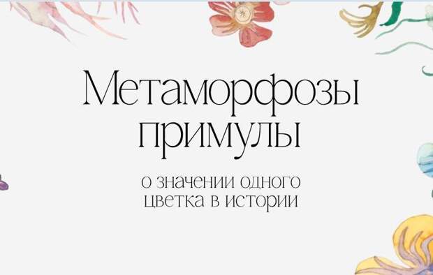 В Петербурге открылась выставка привезенных Петром I гравюр с примулой