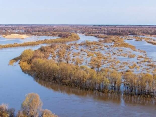Во Владимирской области в зоне подтопления остаются 206 садовых участков