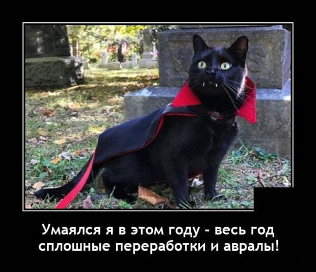 Демотиватор про 2020 год