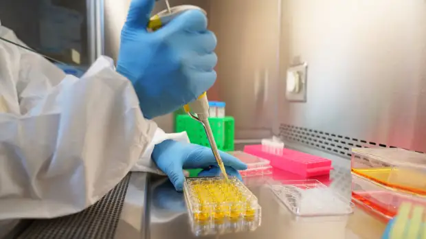 В Бразилии «омикрон» стал доминирующим штаммом коронавируса