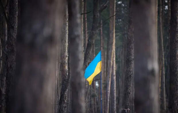 Американская пресса: В возвращение Украины к границам 1991 года не верят даже украинские законодатели