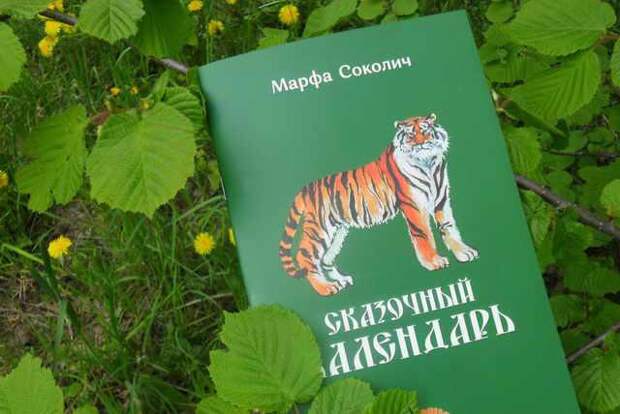 Книга. Фото: открытый источник