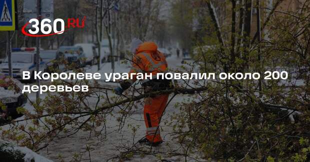 В Королеве ураган повалил около 200 деревьев