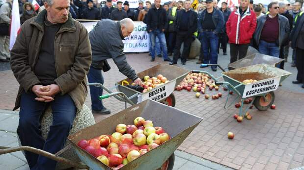 Фермеры еле дышат, а предмет польской гордости — яблоки — сгниют на войне