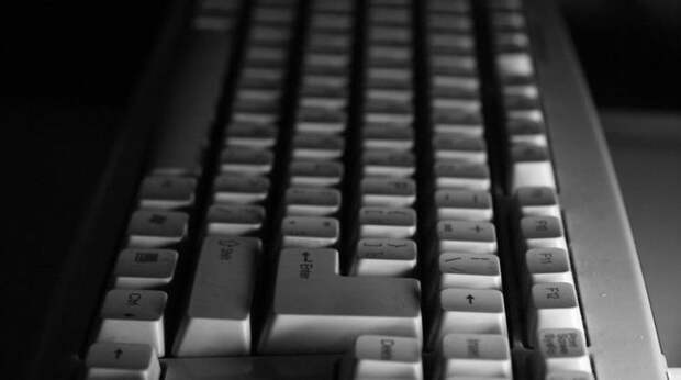 Россия заинтересована в иностранных специалистах в сфере высоких технологий