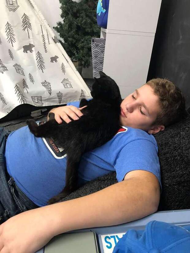 мальчик отдыхает рядом с кошкой