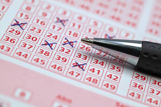 В России слесарь разбогател на 56 миллионов рублей благодаря пауку