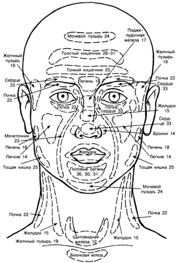 Прыщи на лбу психосоматика. Проекционные зоны на лице человека по Огулову. Рефлекторные точки лица по Огулову. Внутренние органы человека схема расположения на лице. Рефлекторные зоны на лице по Огулову.