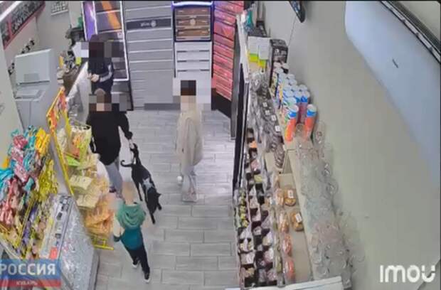 Думали, загрызёт: в Краснодаре собака бойцовской породы напала на ребёнка прямо в магазине