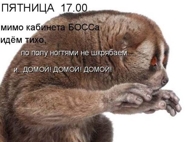98cb00229730 (640x487, 65Kb)