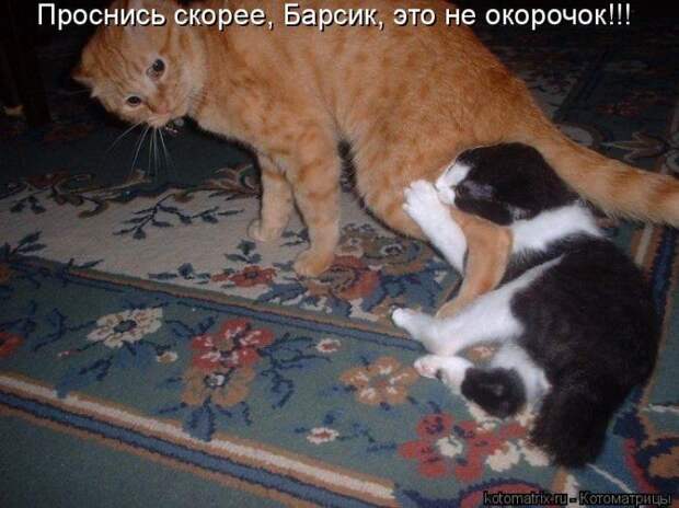 Мысли вслух :)