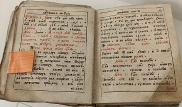 Интерпол ищет в Оренбуржье владельцев девяти икон и старинной книги