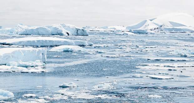 Льды Антарктиды тают с катастрофической скоростью, не имеющей аналогов в истории 