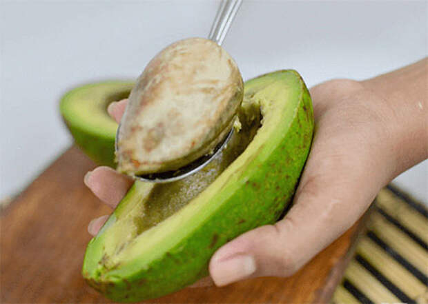 готовим косточку авокадо к проращиванию