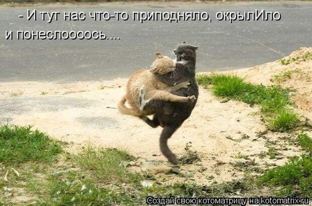 Мысли вслух :)