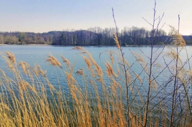 Жители Звенигорода заявили, что люди часто тонут в месте, где пропали дети