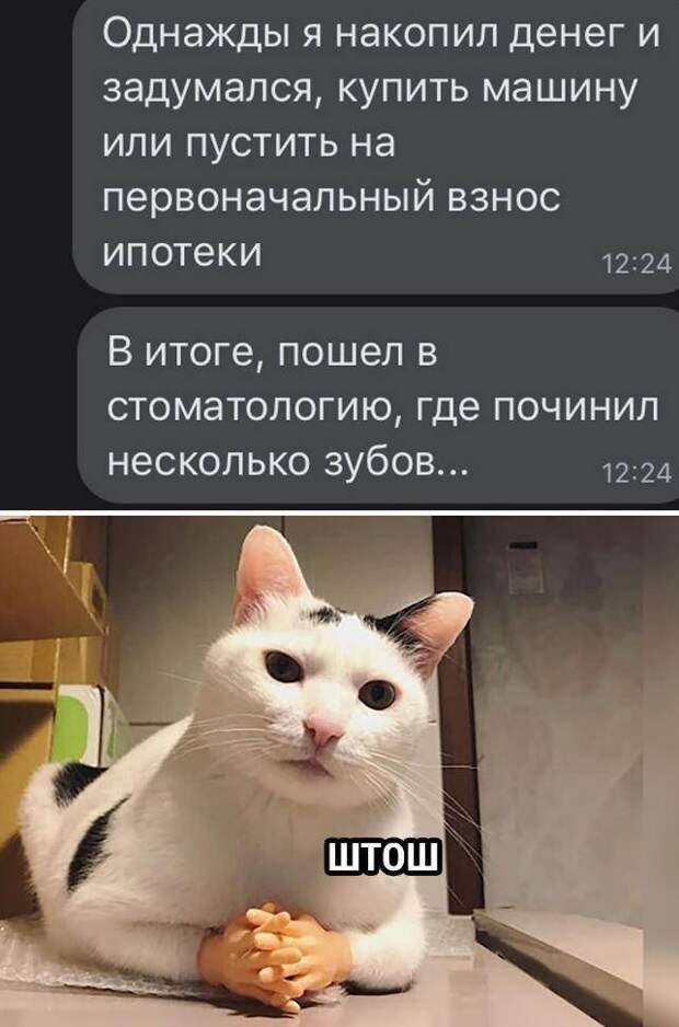 картинки приколы (13)